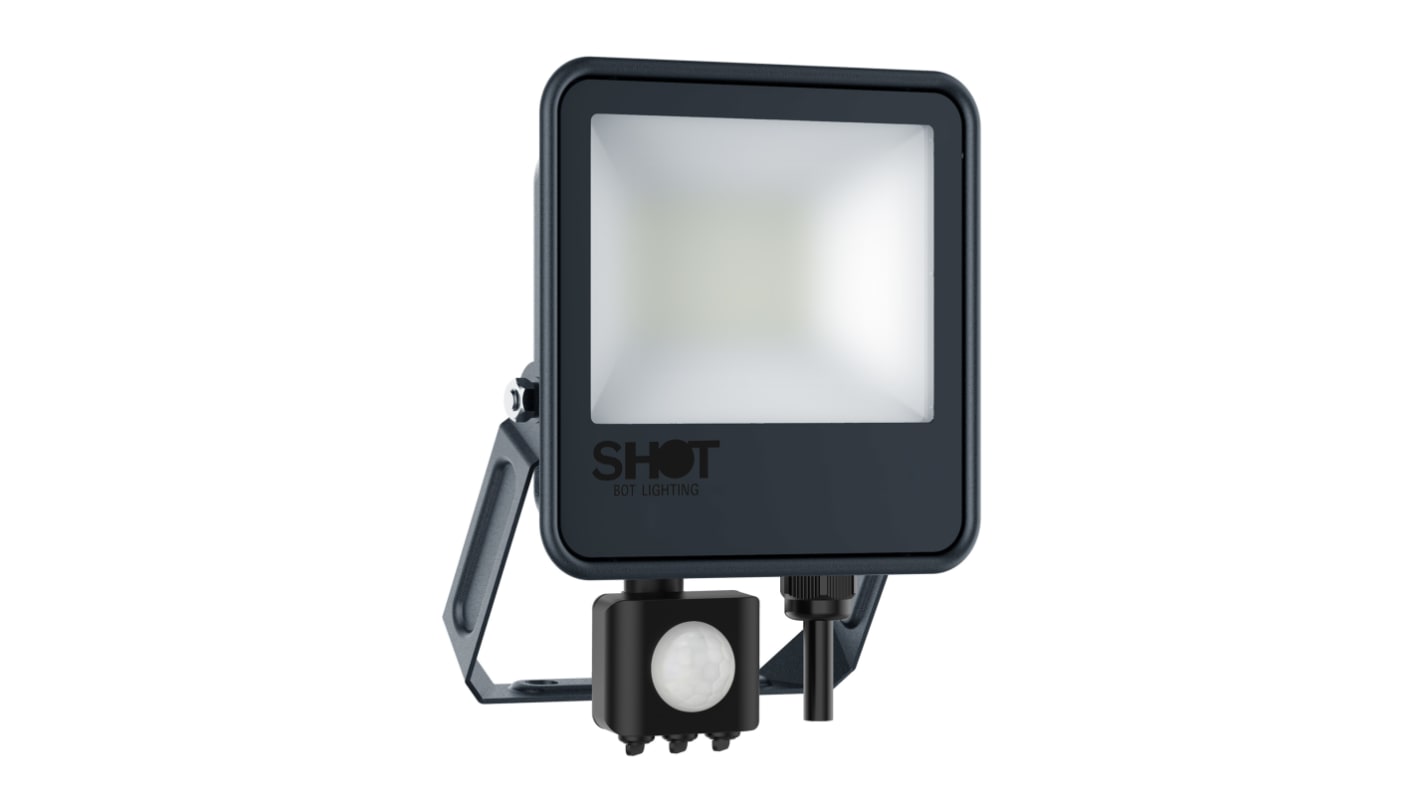 Floodlight 30 W LED with PIR