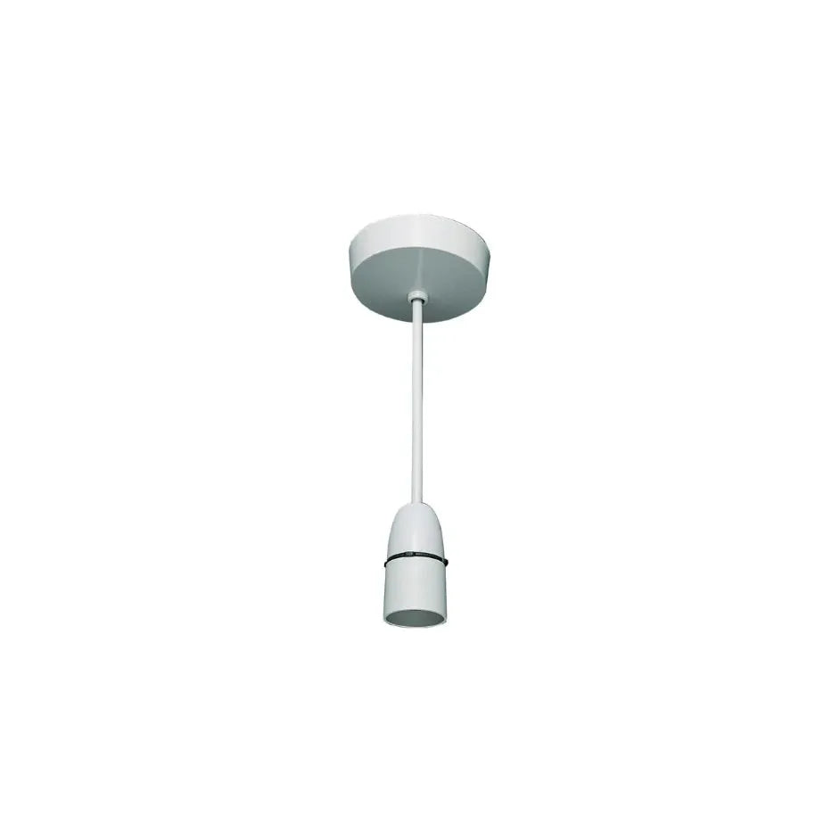 6 in T2 rated pendant