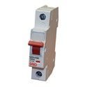 Garo 100 A single-pole isolator switch