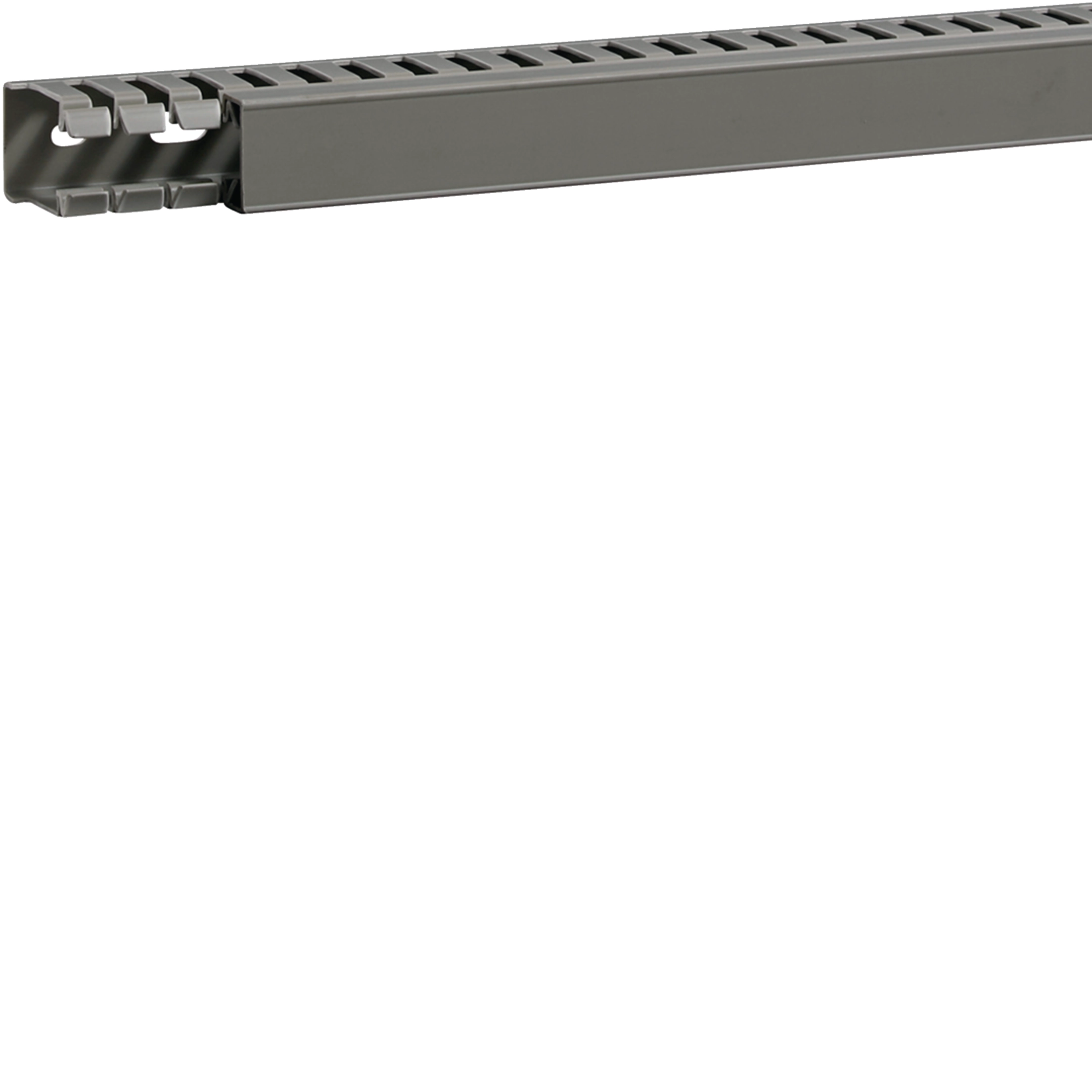 Rapid Cable trunking, 25 mm
