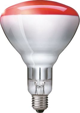 250 W red infrared reflector lamp