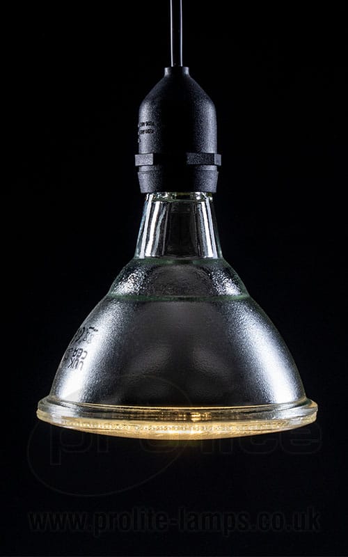 15 W PAR38 LED lamp