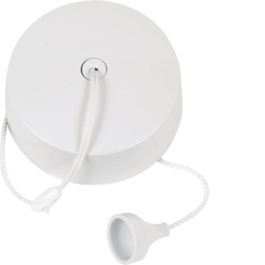 Hager 6 A 1 W Ceiling switch