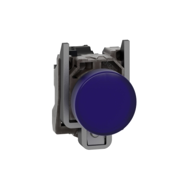 Push button with pilot light